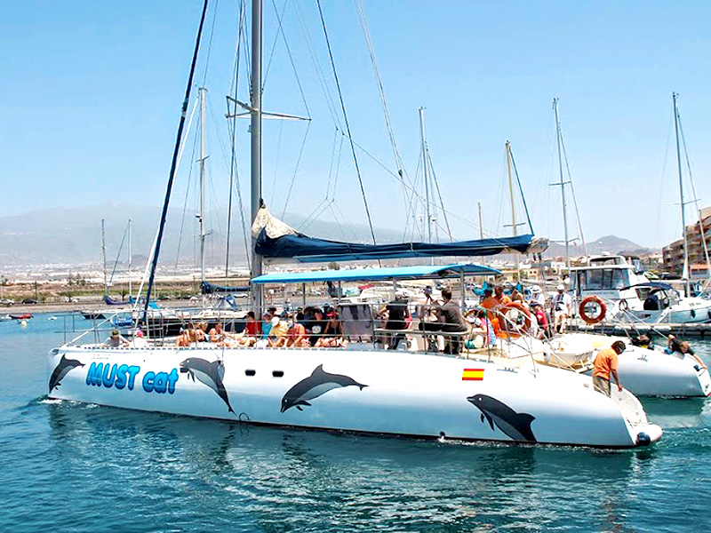 catamaran for sale tenerife